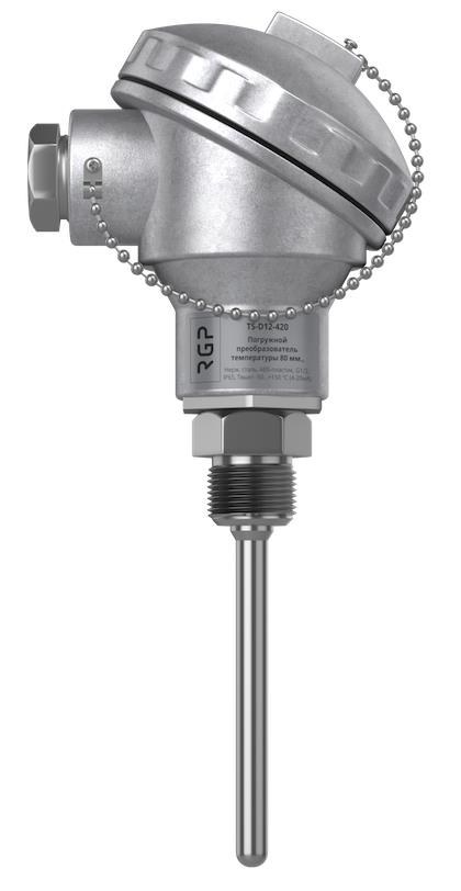 Погружной ввинчиваемый датчик температуры RGP TS-D11-ModBus